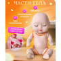 Детский игровой набор мини пупсов кукол в подарочной упаковке 8шт (AN) 32214